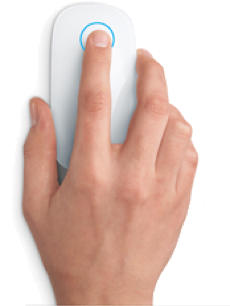 mouse